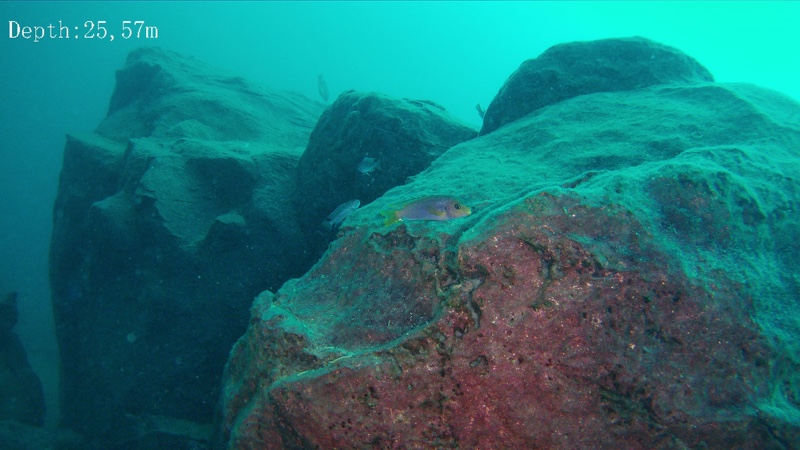 Chinyankwazi Island 10